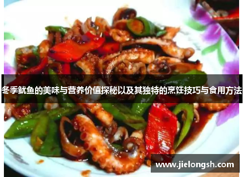 冬季鱿鱼的美味与营养价值探秘以及其独特的烹饪技巧与食用方法